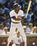 Andre Dawson Chicago Cubs Photo
