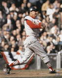 Stan Musial St. Louis Cardinals Photo