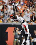 Chad Johnson Cincinnati Bengals -v Dallas Photo