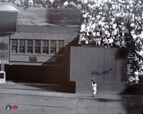 Willie Mays New York Giants -The Catch- Photo