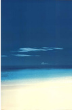 Chris Simpson - Barbuda Beach Posters