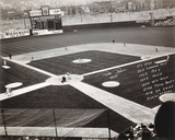 Pete Rose Cincinnati Reds  with Multi Inscriptions Photo