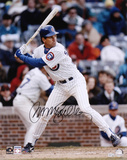 Ryne Sandberg Chicago Cubs Autographed Photo (Hand Signed Collectable) Photo