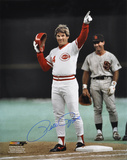 Pete Rose Cincinnati Reds Autographed Photo (Hand Signed Collectable) Photo