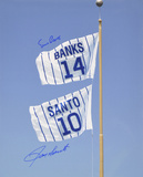 Ernie Banks and Ron Santo Chicago Cubs  Retired Number Flag Photo
