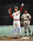 Pete Rose Cincinnati Reds Photo