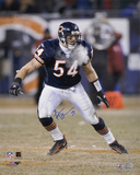 Brian Urlacher Chicago Bears  16x20 Photo