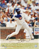 Sammy Sosa Chicago Cubs Photo