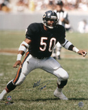 Mike Singletary Chicago Bears with HOF '98 Inscription Autographed Photo (Hand Signed Collectable) Photo