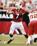Matt Leinart Arizona Cardinals - Passing Photo