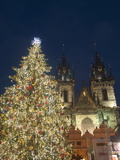 Gothic Tyn Church, Christmas Tree at Twilight in Old Town Square, Stare Mesto, Prague Photographic Print by Richard Nebesky