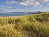 Sand Dunes and Dune Grasses of Mellon Udrigle Beach, Wester Ross, North West Scotland Fotografisk tryk af Neale Clarke Sand Dunes and Dune Grasses of Mellon Udrigle Beach, Wester Ross, North West Scotland Fotografisk tryk af Neale Clarke
