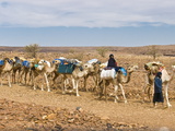 Camel Caravan Riding Through the Stone Desert Near Atar, Mauritania, Africa Photographic Print by Michael Runkel
