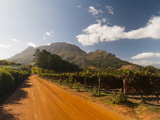 Zorgvliet Wine Estate, Stellenbosch, Cape Province, South Africa, Africa Photographic Print by Sergio Pitamitz