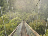 Swingbridge, Motu Falls, Motu, Gisborne, North Island, New Zealand, Pacific Photographic Print by Jochen Schlenker