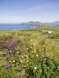 Valentia Island, Ring of Kerry, County Kerry, Munster, Republic of Ireland, Europe Photographic Print