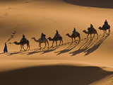 Camels in the Dunes, Merzouga, Morocco, North Africa, Africa Photographic Print by Michael Runkel
