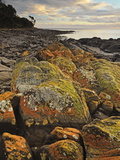 Lichen Covered Rocks, Shore at Greens Beach, Tasmania, Australia, Pacific Lámina fotográfica por Jochen Schlenker
