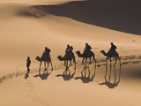Camels in the Dunes, Merzouga, Morocco, North Africa, Africa Photographic Print by Michael Runkel