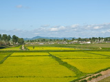 Traditional Houses Near the Border Between North and South Korea, North Korea, Asia Photographic Print by Michael Runkel