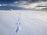 Footsteps in Freshly-Fallen Snow Leading Off Into Distance Towards Dramatic Winter Sky, England Photographic Print by Lee Frost
