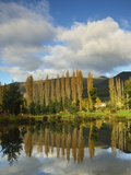 Rural Scene, Maydena, Tasmania, Australia, Pacific Photographic Print by Jochen Schlenker