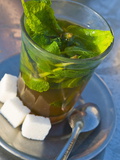 Mint Tea, Marrakech, Morocco, North Africa, Africa Photographic Print by Nico Tondini