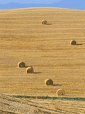 Hay Bales, Val D'Orcia, Siena Province, Tuscany, Italy, Europe Photographic Print by Sergio Pitamitz