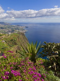 Looking Towards Funchal From Cabo Girao, One of the World's Highest Sea Cliffs, Portugal Photographic Print by Neale Clarke