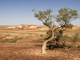 The Breakaways, Painted Desert, Coober Peedy, South Australia, Australia, Pacific Fotografie-Druck von Tony Waltham
