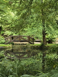 Alfred Nicholas Gardens, Dandenong Ranges National Park, Dandenong Ranges, Victoria, Australia Photographic Print by Jochen Schlenker