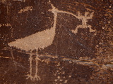 Bird Petroglyph, Petrified Forest National Park, Arizona, United States of America, North America Photographie par James Hager