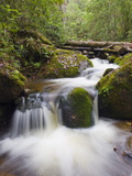River in Parque Nacional Montana De Celaque, Gracias, Honduras, Central America Photographic Print by Christian Kober