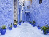 Blue Painted Alley Lined With Flower Pots Leading to Doorway, Chefchaouen, Morocco, North Africa Photographie par Guy Edwardes