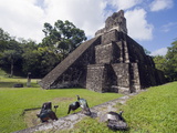 Turkeys at a Pyramid in the Mayan Ruins of Tikal, UNESCO World Heritage Site, Guatemala Photographic Print by Christian Kober