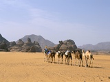 Camel Caravan, Akakus, Sahara Desert, Fezzan, Libya, North Africa, Africa Fotografisk tryk af Sergio Pitamitz