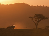 Masai Mara, Kenya, East Africa, Africa Photographic Print by Sergio Pitamitz