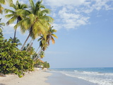 Palm Trees on Beach, Jacmel, Haiti, West Indies, Caribbean, Central America Photographic Print by Christian Kober