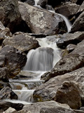 Cascades Downstream of Fish Creek Falls, Routt National Forest, Colorado, USA Photographic Print by James Hager
