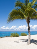 Beach at Chankanaab Park, Isla De Cozumel, Cozumel, Off the Yucatan, Mexico Photographic Print by Michael DeFreitas