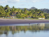 Vultures on the Beach at Playa Sihuapilapa, Pacific Coast, El Salvador, Central America Photographie par Christian Kober