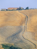 Crete Senesi, Siena Province, Tuscany, Italy, Europe Photographic Print by Sergio Pitamitz