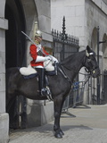 A Horse Guard in Whitehall, London, England, United Kingdom, Europe Photographic Print by James Emmerson
