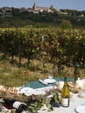 Wine in Vezelay, Yonne, Burgundy, France, Europe Photographic Print