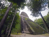Tourists Climbing a Pyramid in the Forest, Mayan Ruins, Tikal, Guatemala Photographic Print by Christian Kober