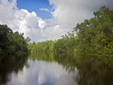 Delta Amacuro, Orinoco Delta, Venezuela, South America Photographic Print by Jane Sweeney