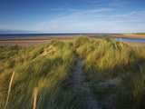 A Summer View of the Barrier Island Scolt Head Island, Norfolk, England, United Kingdom, Europe Photographic Print by Jon Gibbs