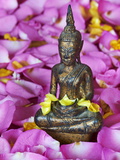 Statue of Buddha, Bangkok, Thailand, Southeast Asia, Asia Photographie