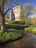 Blarney Castle in Springtime, County Cork, Munster, Republic of Ireland, Europe Photographic Print