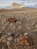 Petrified Wood and An Eroded Hill, Petrified Forest National Park, Arizona Photographic Print by James Hager